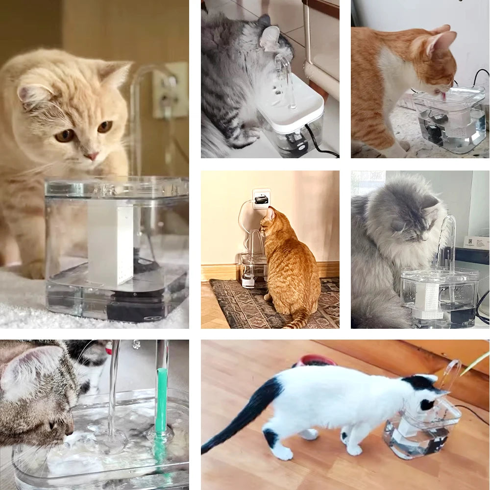 Cat Water Fountain Auto Filter Transparent Cat Drinker USB Electric Mute Recirculate Filtering Drinker for Cats Water Dispenser